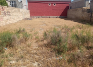 Satılır 3 sot torpaq Saray