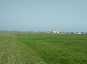 Satılır 104 sot torpaq Xaçmaz