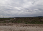 Satılır 10000 sot torpaq Şabran