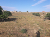 Satılır 40 sot torpaq Nardaran