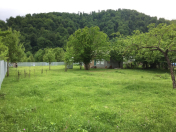 Satılır 20 sot torpaq Qəbələ