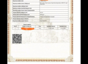 Satılır 6 sot torpaq Qala