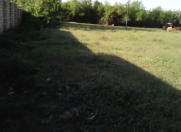 Satılır 40 sot torpaq Qəbələ