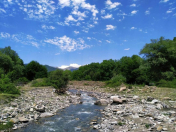 Satılır 24 sot torpaq İsmayıllı