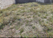 Satılır 7 sot torpaq Buzovna