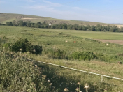 Satılır 5.5 sot torpaq Şamaxı