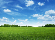 Satılır 185 sot torpaq Quba