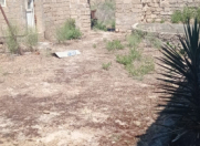 Satılır 25 sot torpaq Türkan