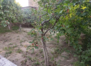 Satılır 5.8 sot torpaq Qaraçuxur