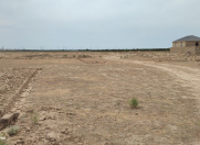 Satılır 0 sot torpaq Y.Suraxanı