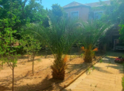 Satılır 4 otaqlı 200 m2 bağ evi Mərdəkan
