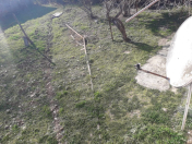 Satılır 4 otaqlı 182 m2 həyət evi Masallı