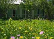 İcarəyə verilir 3 otaqlı 50 m2 həyət evi Qax