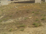 Satılır 5 sot torpaq Nardaran