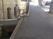 Satılır 6 otaqlı 131 m2 obyekt Axundov bağı