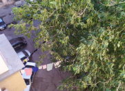 Satılır 3 otaqlı 75 m2 köhnə tikili 28 may