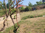 Satılır 3 sot torpaq Lənkəran