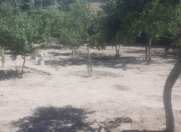 Satılır 8 sot torpaq Xızı