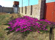 Satılır 5 sot torpaq Dübəndi bağları