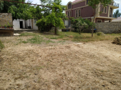 Satılır 7.05 sot torpaq Badamdar