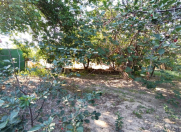 Satılır 6 sot torpaq Mingəçevir