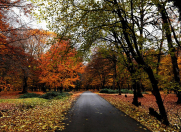 Satılır 19 sot torpaq İsmayıllı