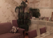 Satılır 2 otaqlı 50 m2 həyət evi Xırdalan