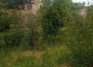 Satılır 6 sot torpaq Novxanı