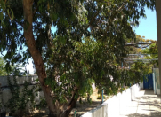 Satılır 8 otaqlı 260 m2 həyət evi Mərdəkan