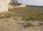 Satılır 20 sot torpaq Saray