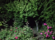 İcarəyə verilir 4 otaqlı 7 m2 bağ evi Xaçmaz