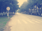 Satılır 1 otaqlı 53 m2 obyekt Neftçala