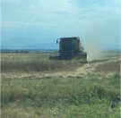 Satılır 2500 sot torpaq Xaçmaz