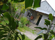 İcarəyə verilir 3 otaqlı 100 m2 həyət evi Qax