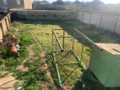 Satılır 600 sot torpaq Binə