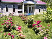 İcarəyə verilir 2 otaqlı 65 m2 həyət evi İsmayıllı