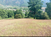 Satılır 16 sot torpaq Qəbələ