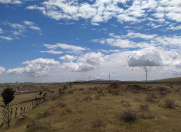 Satılır 200 sot torpaq Saray