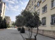 Satılır 2 otaqlı 80 m2 obyekt Şah İsmayıl Xətai m.