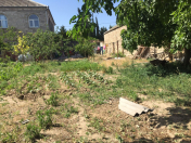 Satılır 4 sot torpaq Binə