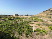 Satılır 12 sot torpaq Nardaran