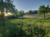 Satılır 12 sot torpaq Balakən