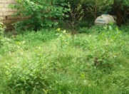 Satılır 3 otaqlı 90 m2 həyət evi Qəbələ