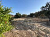 Satılır 10 sot torpaq Şağan