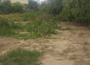 Satılır 10 sot torpaq Xaçmaz