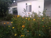 İcarəyə verilir 3 otaqlı 120 m2 bağ evi Qusar