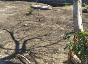 Satılır 4 sot torpaq Binə