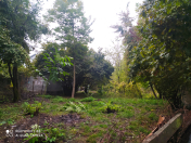 Satılır 10 sot torpaq Qəbələ