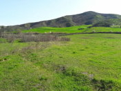 Satılır 30 sot torpaq İsmayıllı