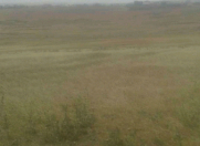 Satılır 50 sot torpaq Mehdiabad